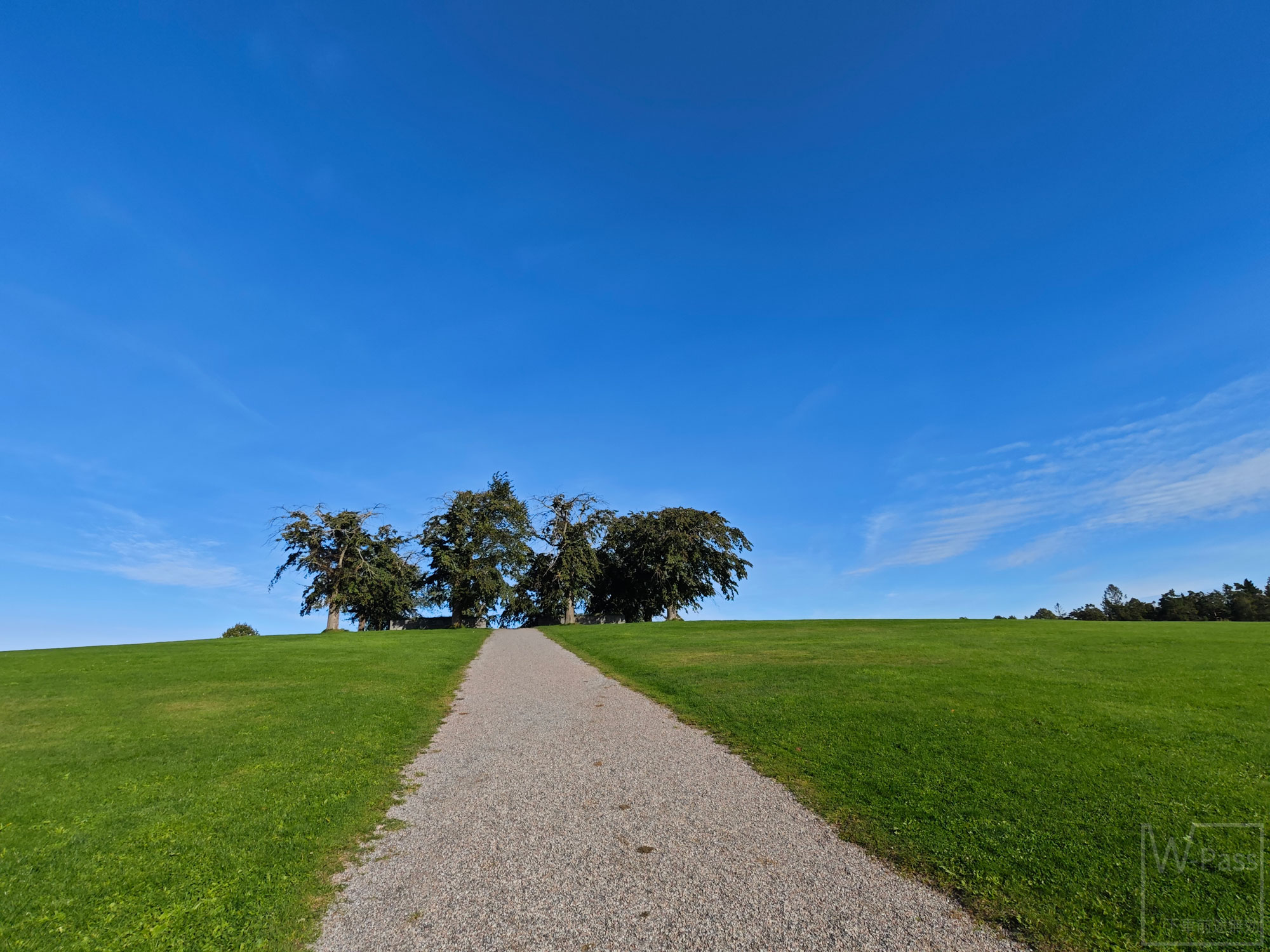 スコーグスシュルコゴーデン